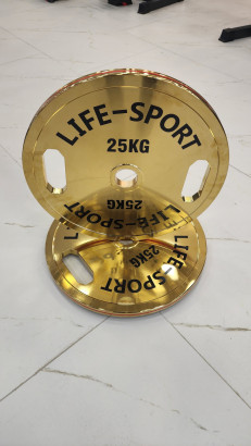 life sport pro bronze coating change plate 25 kg